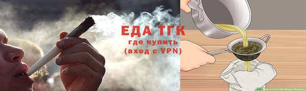 мдпв Богородицк