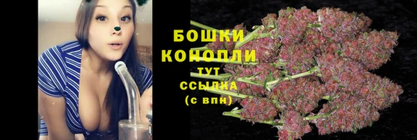 apvp Богородск