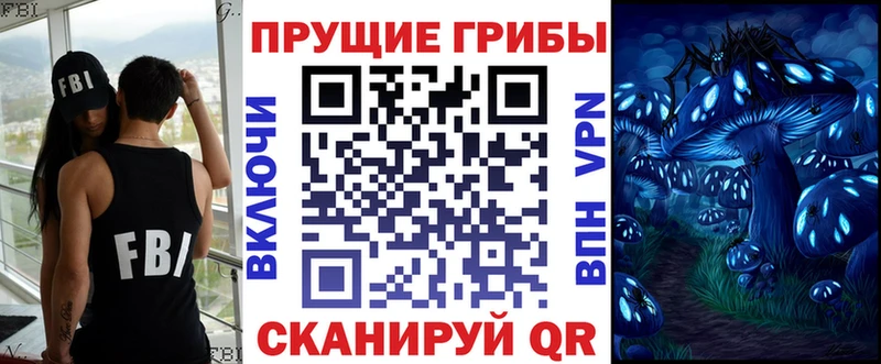 omg как зайти  Мамадыш  Псилоцибиновые грибы MAGIC MUSHROOMS  сколько стоит 